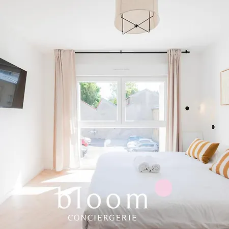 Le Duplex Impérial De Foch Appartement Nancy